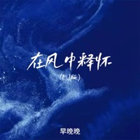 在风中释怀 (DJ版) - Single - 早晚晚