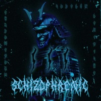 Schizophernic 3 Remixs - Single - ShadowStorm Codelin & LEV1T1CUS