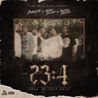 23:4 (feat. Alondo Jackson & Shuntell Diverse) [Tone Bolo Remix] - Single - Parklyfe