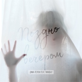 Поздно вечером (feat. ТикиБау) Дима Лелюк