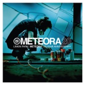 Program (Meteora Demo) artwork