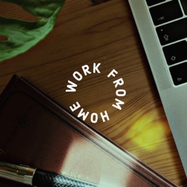 Faith Darwin x Mainecoon