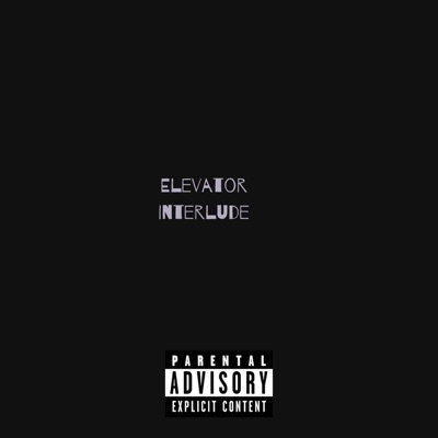 Elevator Interlude (feat. Stanzo) - Single