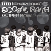 Social Path / Super Bowl -Japanese ver.- - EP artwork