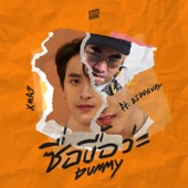 ซื่อบื้อว่ะ (dummy) [feat. ziggavoy] artwork