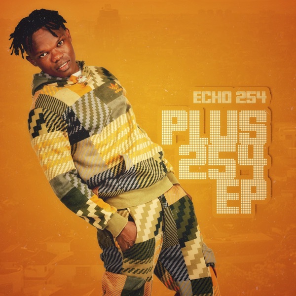 Plus 254