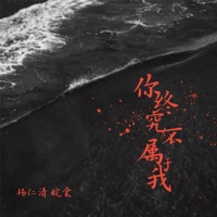 你终究不属于我 - Single - 杨仁清 & 皖棠