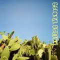 Harp Bounce