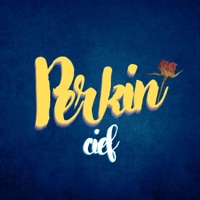 Perkin - Single - Cief