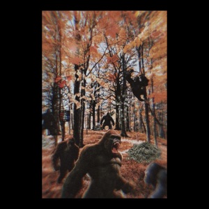 Shaking Trees