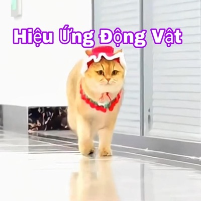 Nguyễn Văn Mạnh - Top Hiệu Ứng Động Vật Siêu Hài Hước Nhất 2024