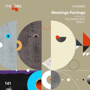 Meetings Partings - Single