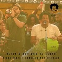 Deixa O Meu Som Te Levar (Ao Vivo) - Single - Tiago Testa & Gabrielzinho do Irajá