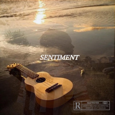 SENTIMENT - Single