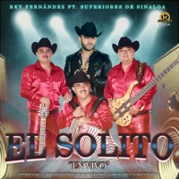 El Solito (feat. Los Superiores de Sinaloa) - Single - rey fernandez