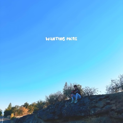 Wanting More - Single