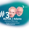 Adams: Shaker Loops: I. Shaking and Trembling - Single