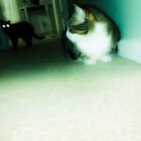 Aux - Single - isaur