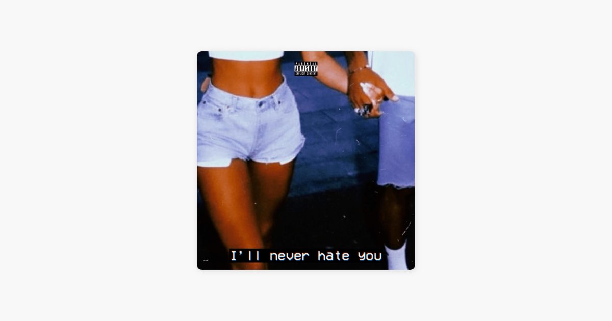 I'll Never Hate You - Single - Album by Cozyboi - Apple Music