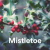 Mistletoe artwork