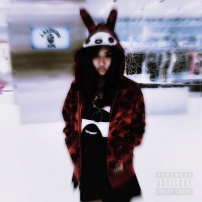 Bathing Ape Hoodie - Single