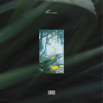 The One (feat. Chxf Barry) - Single