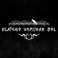 Dlatego Ukrywam Ból - Single - Hichi