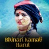 Bhinari Kamali Harul (feat. Mamta Arya) - Single