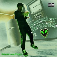 Greenmetal Alchemist - Shawn Martian