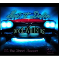 Slow it Down - Single - D.B. the Street Sleeper