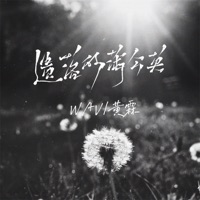 遗落的蒲公英 - Single - Wav & 黄霖