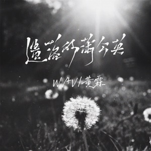 遗落的蒲公英 - Single