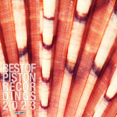 Best of Piston Recordings 2023