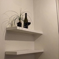 Grace - Single - grasior