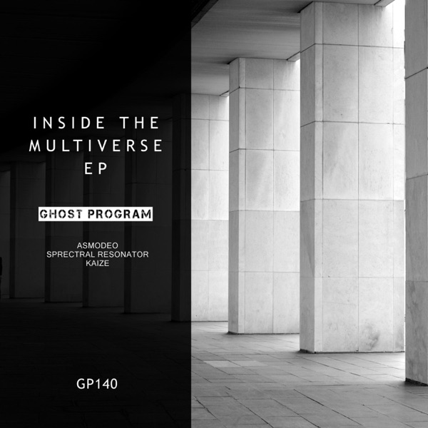 Inside the Multiverse EP