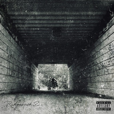 Ridgeback 2 - Single