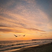 Ты всегда со мной - Single - Nice Davis & AVANTURIST