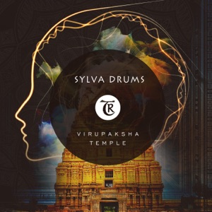 Virupaksha Temple - Single