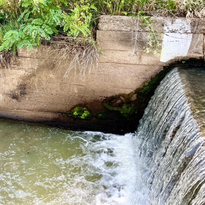 From the Gutter (feat. YUNGDOEDIEBLUNT) - Single