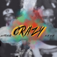 Crazy (feat. Destroyer) - Single - FlyFly
