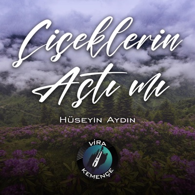 Hüseyin Aydın - Çiçeklerin Açtı Mı