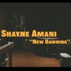 'New Dawning' - Single