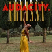 Audacity. artwork