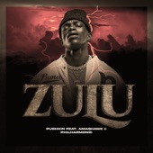 Zulu (feat. AMAQHAWE & Philharmonic) artwork
