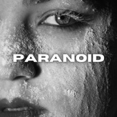 Paranoid artwork