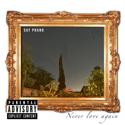Never Love Again