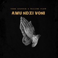 Awu ndzi voni (feat. Malume Flow) - Single - Nebo Sixfour