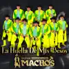 Banda Machos - Sin Fortuna