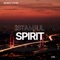 Istanbul Spirit artwork