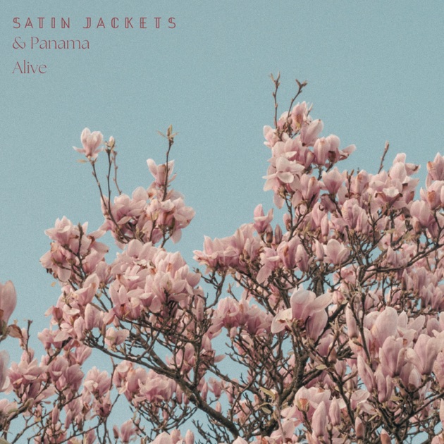SATIN JACKETS Panorama Pacifico Records & LPs New